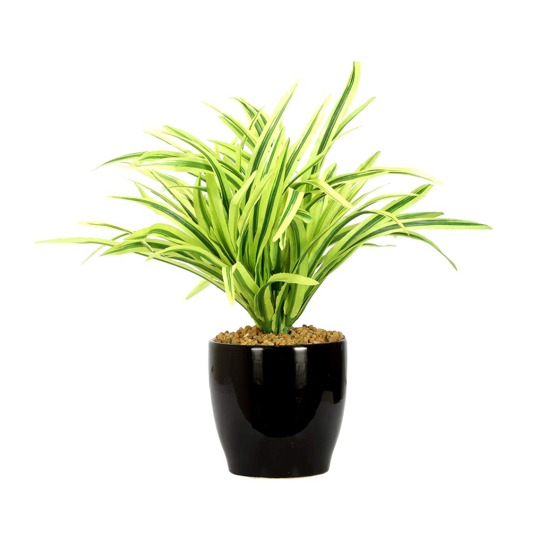 Artificial Spider Leaves Bonsai 27cm