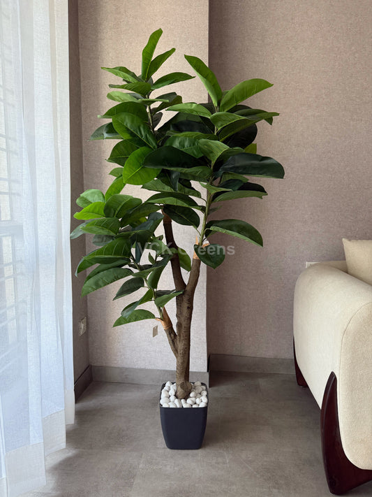 Artificial Green Rubber Plant 5ft