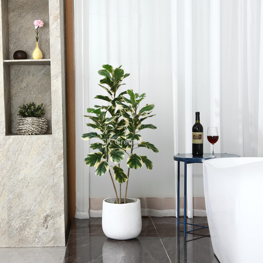 Artificial Variegated Rubber Plant 5ft With Pot