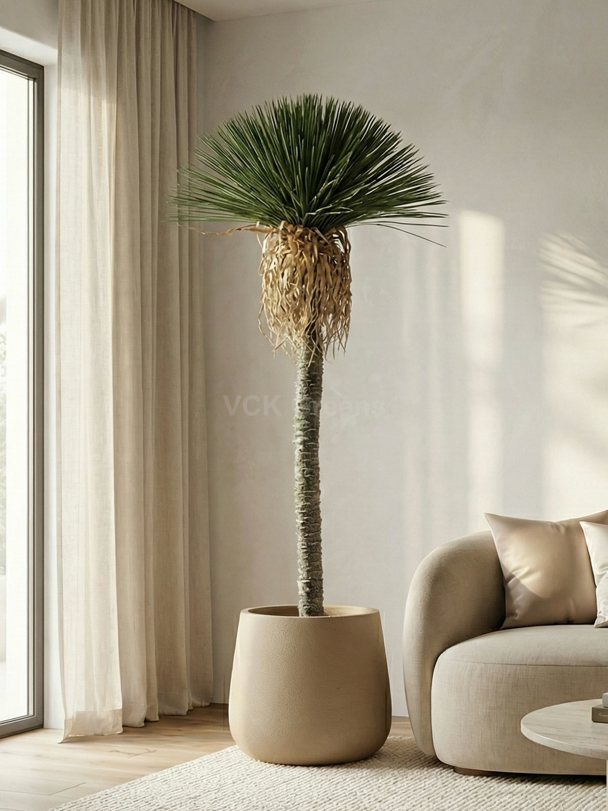 Artificial Ponytail Palm 8.6ft – VCK Greens