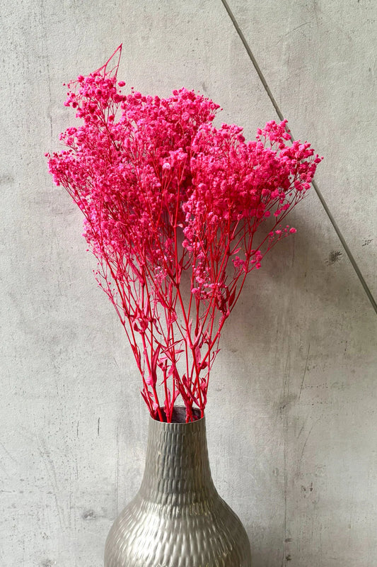 Preserved Dried Baby’s Breath Bunch