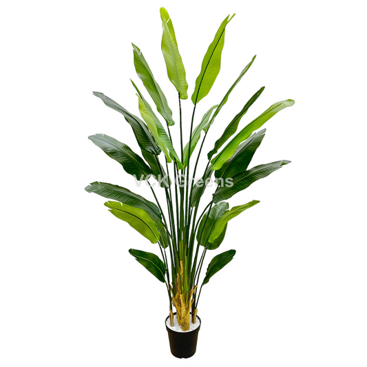 Artificial Traveller's Banana Leaf Plant 7ft With Pot