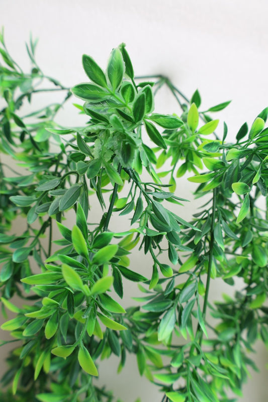 Artificial Green Hanging Creepers 2.5ft