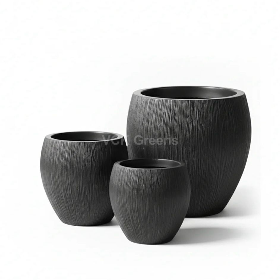 Dominican Planter