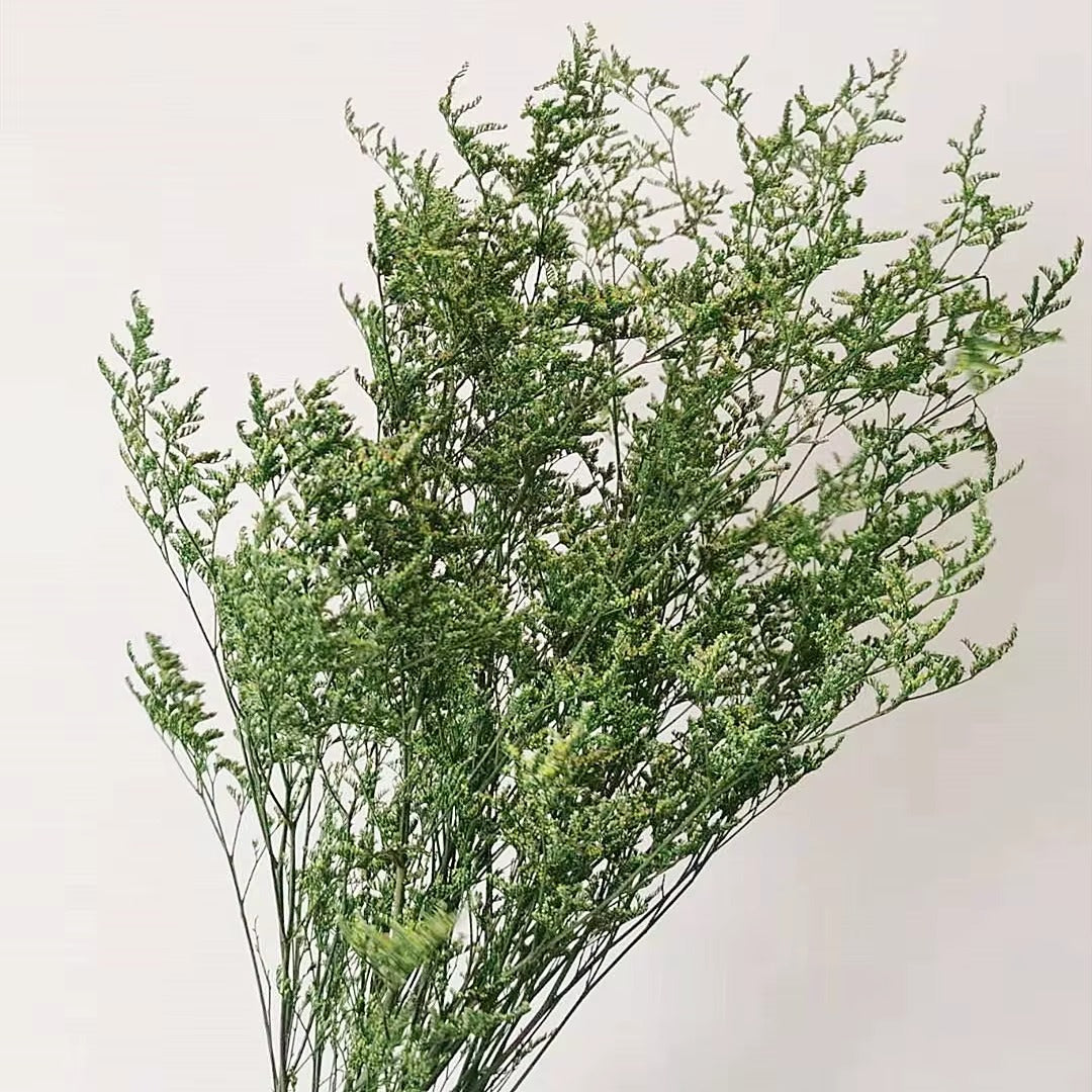 Preserved Dried Limonium Stick Bunch