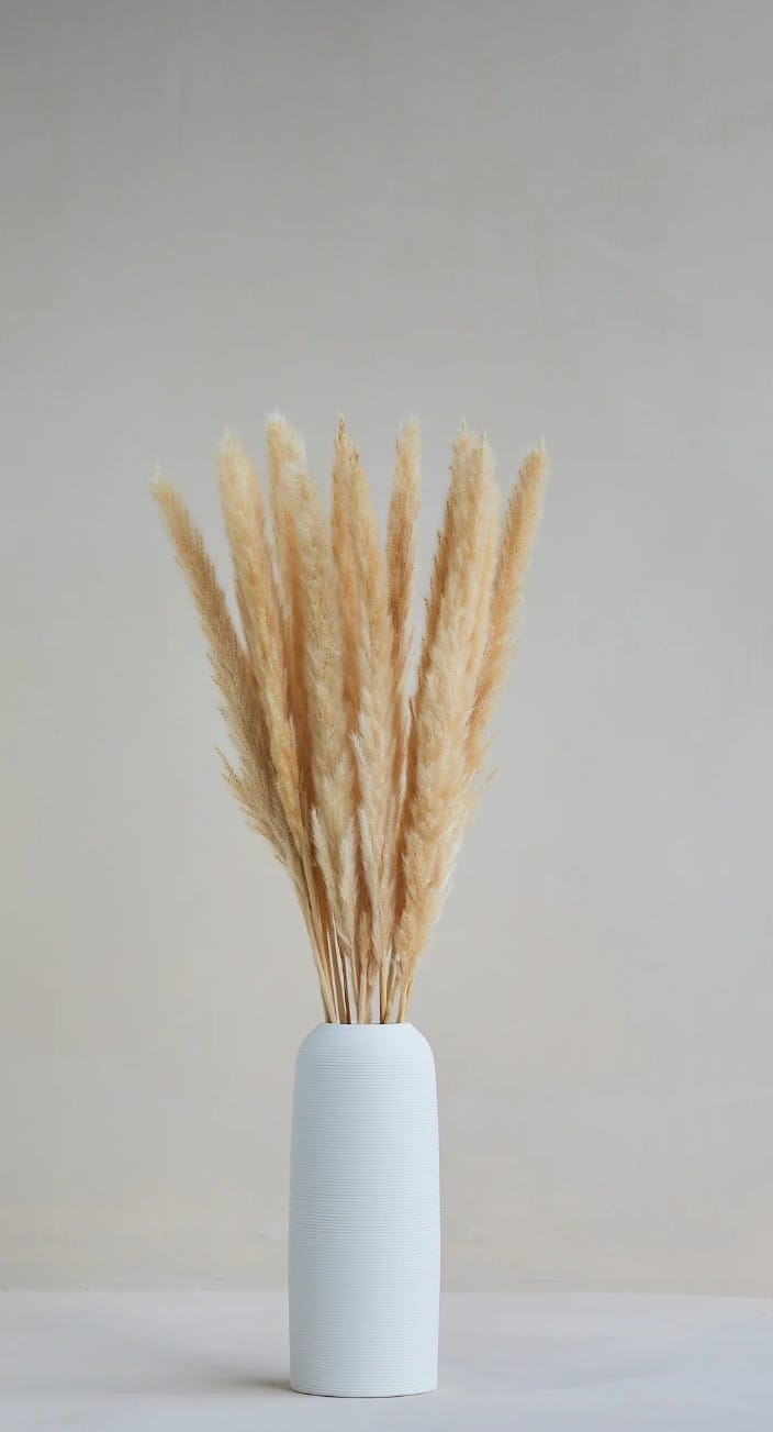 Dried Mini Pampas Grass (Pack of 10Stick)