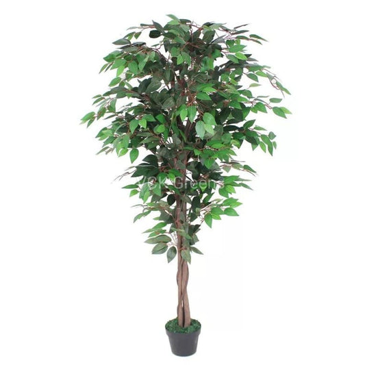 Artificial Green Ficus Leaves Tree 6 Feet With Pot