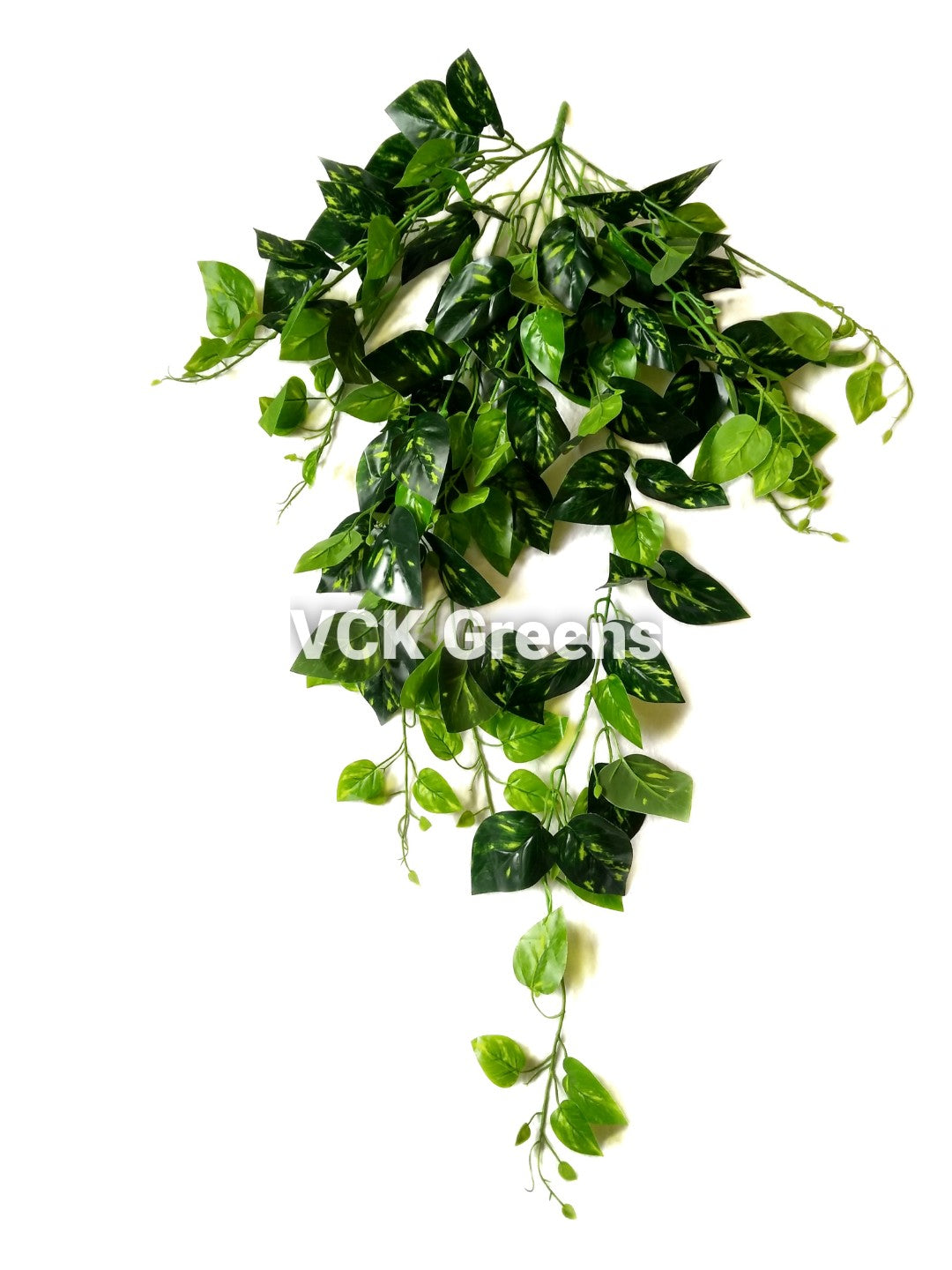 money plant creeper Artificial Money Plant Creeper 3.3 Feet – VCK Greens