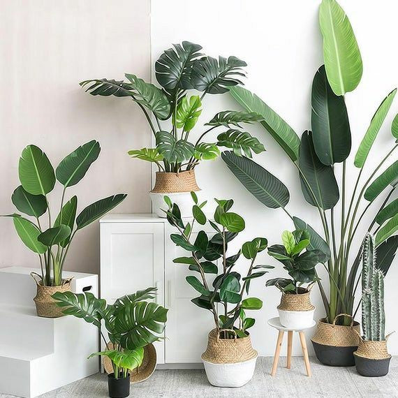 Artificial Plants and Trees