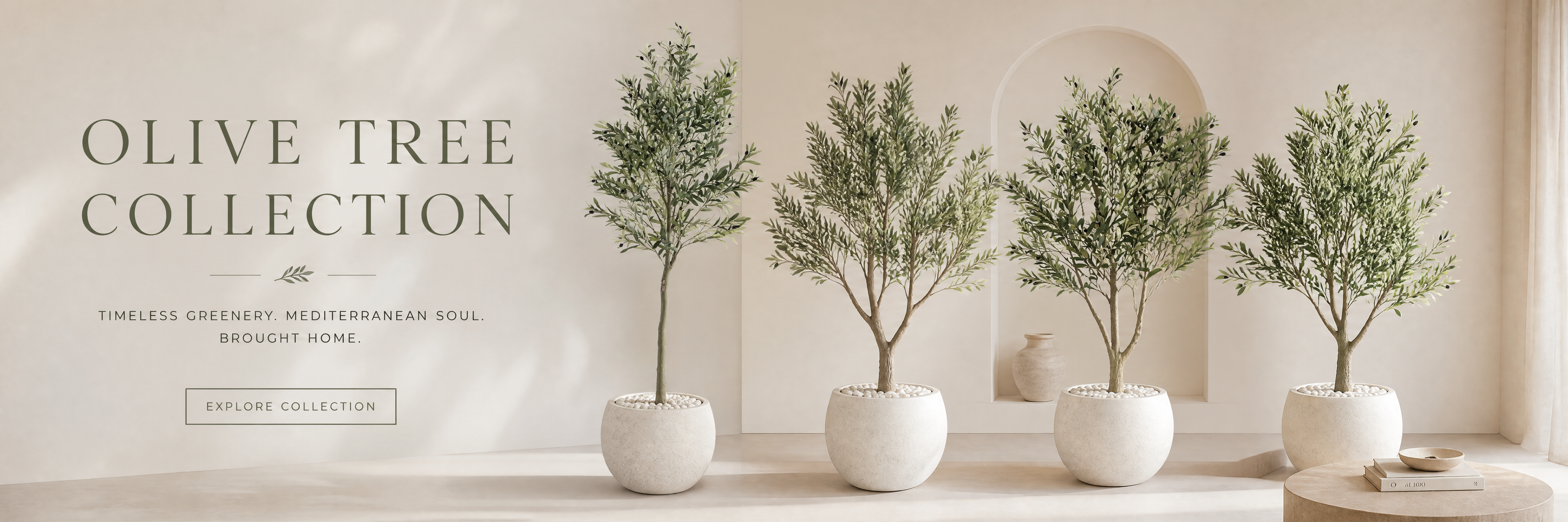 Olive Trees