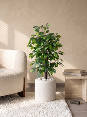 Artificial Green Ficus Tree 3ft