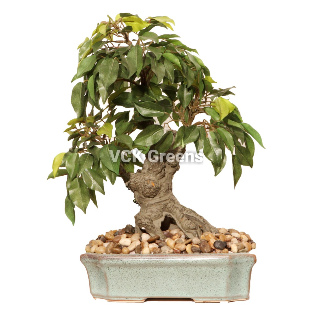 Artificial Ficus Leaves Bonsai 1.3ft