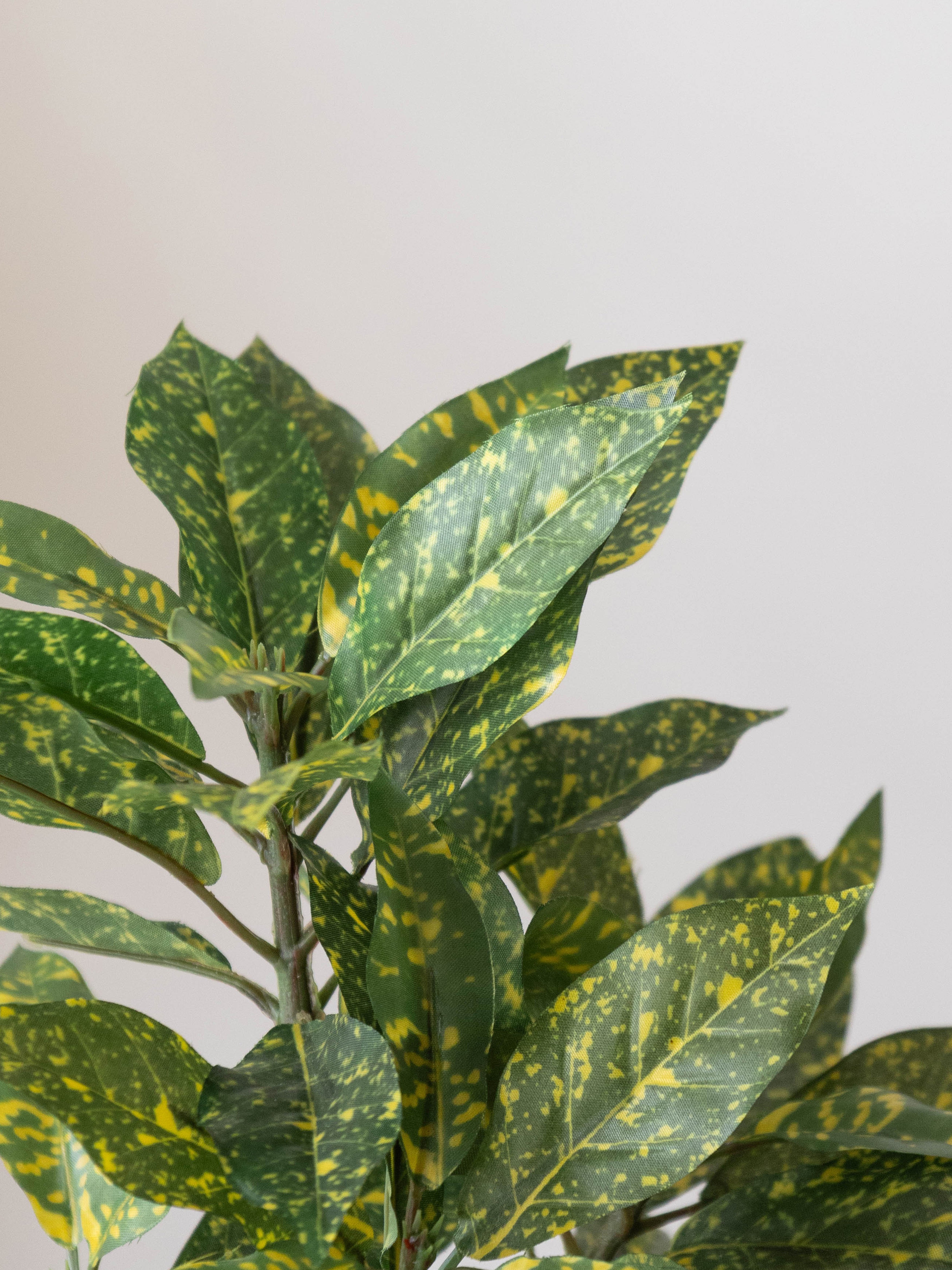 Artificial Croton Bonsai 1ft