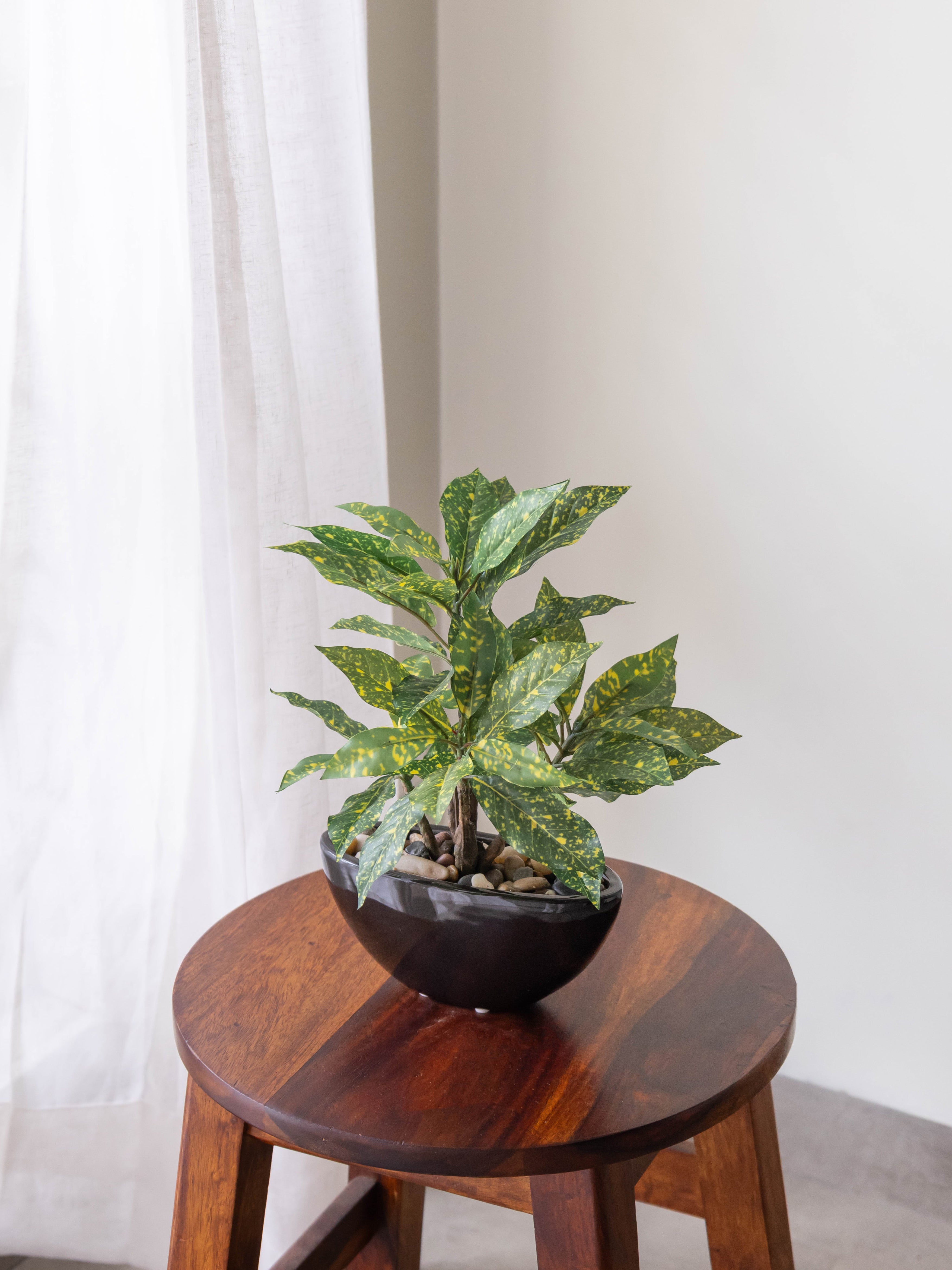 Artificial Croton Bonsai 1ft