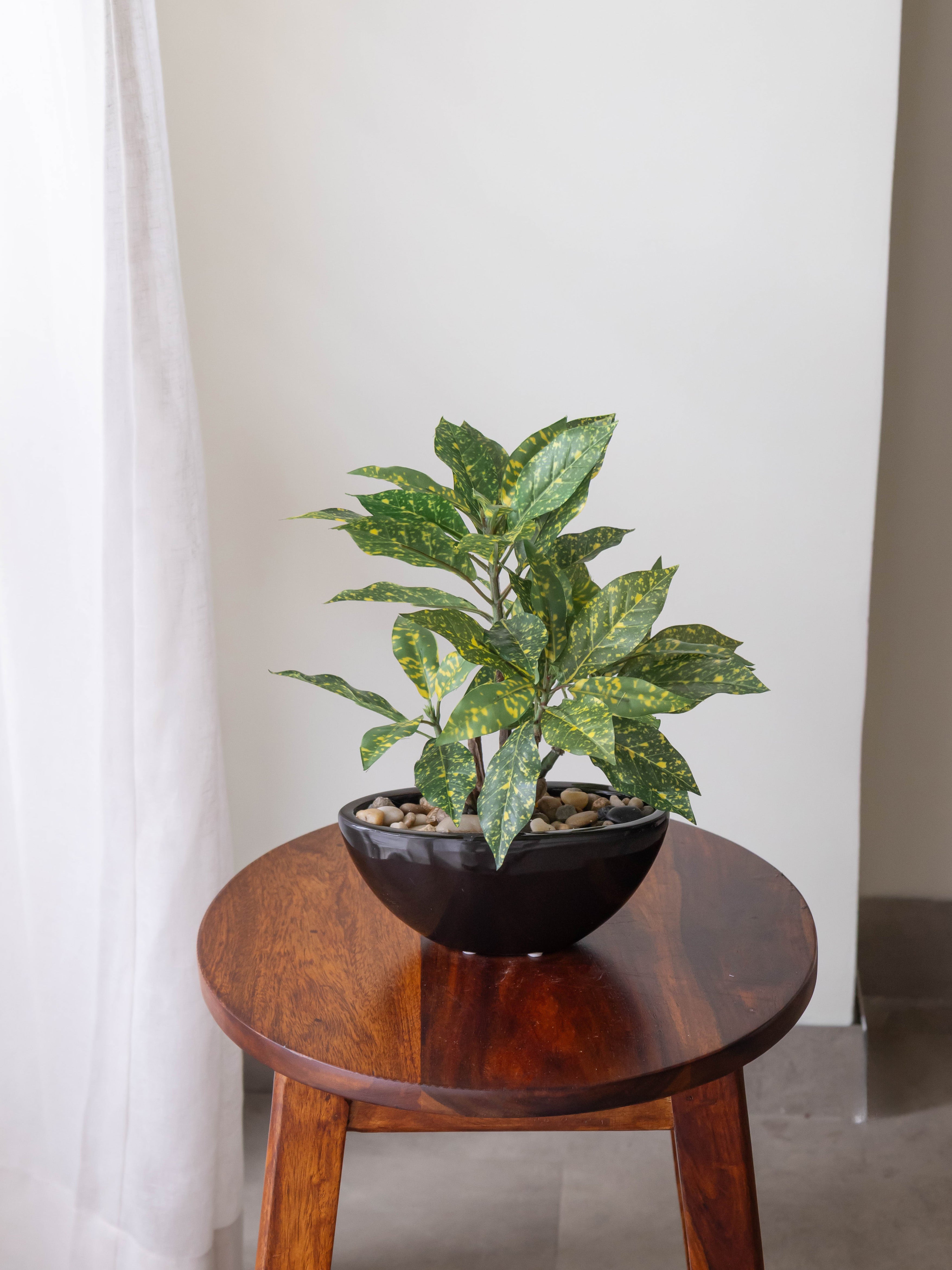 Artificial Croton Bonsai 1ft