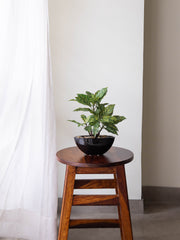 Artificial Croton Bonsai 1ft