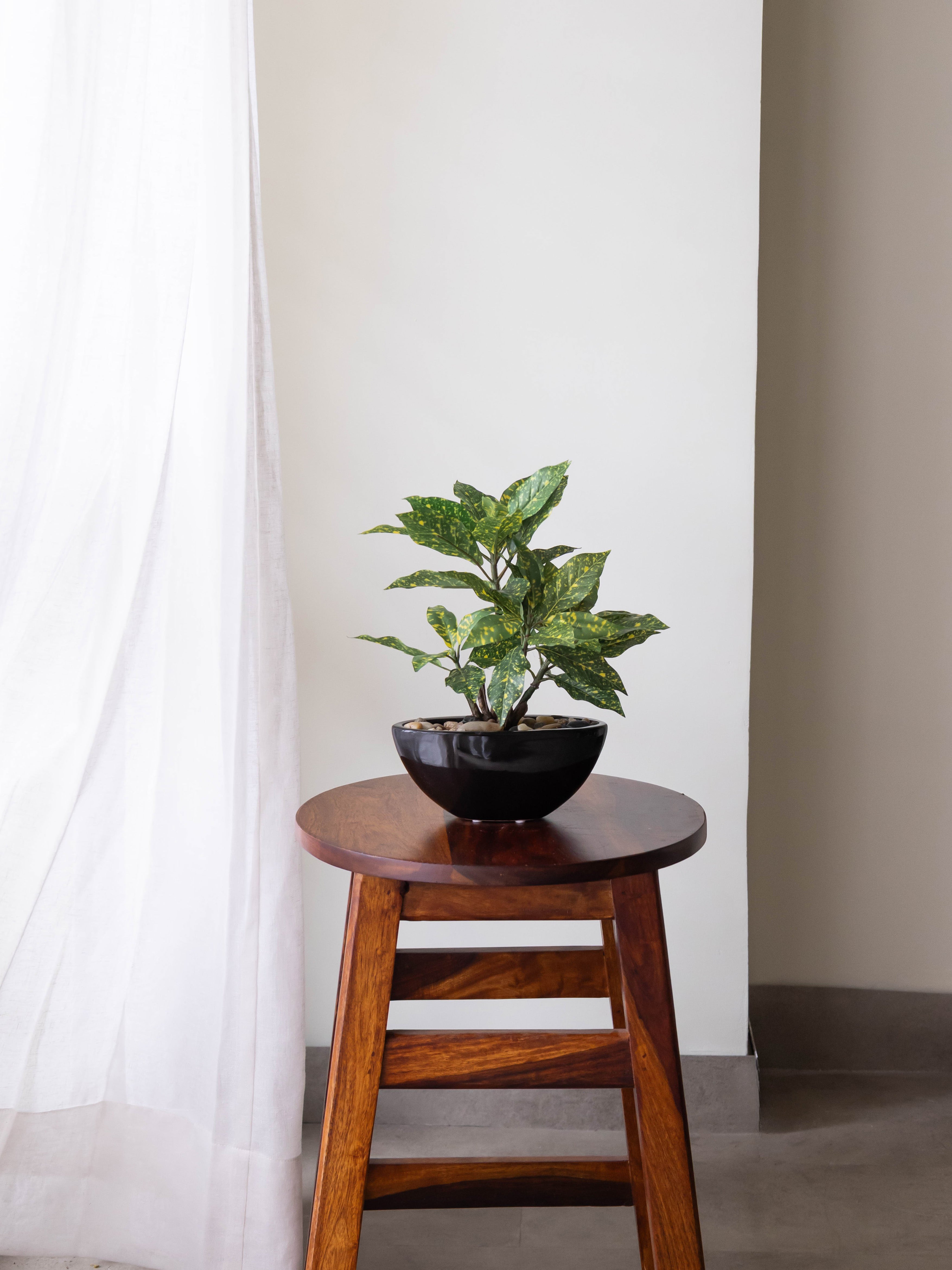 Artificial Croton Bonsai 1ft