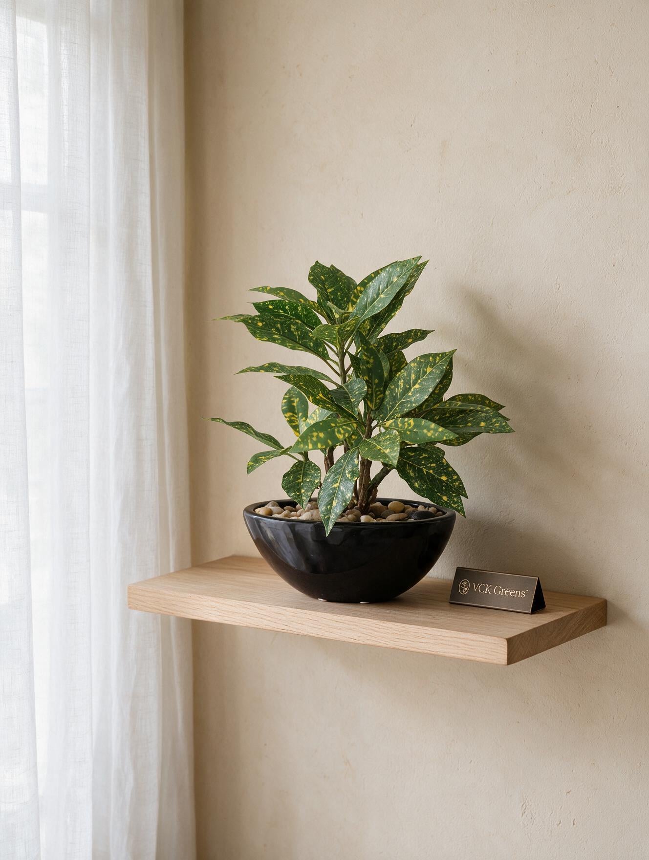Artificial Croton Bonsai 1ft