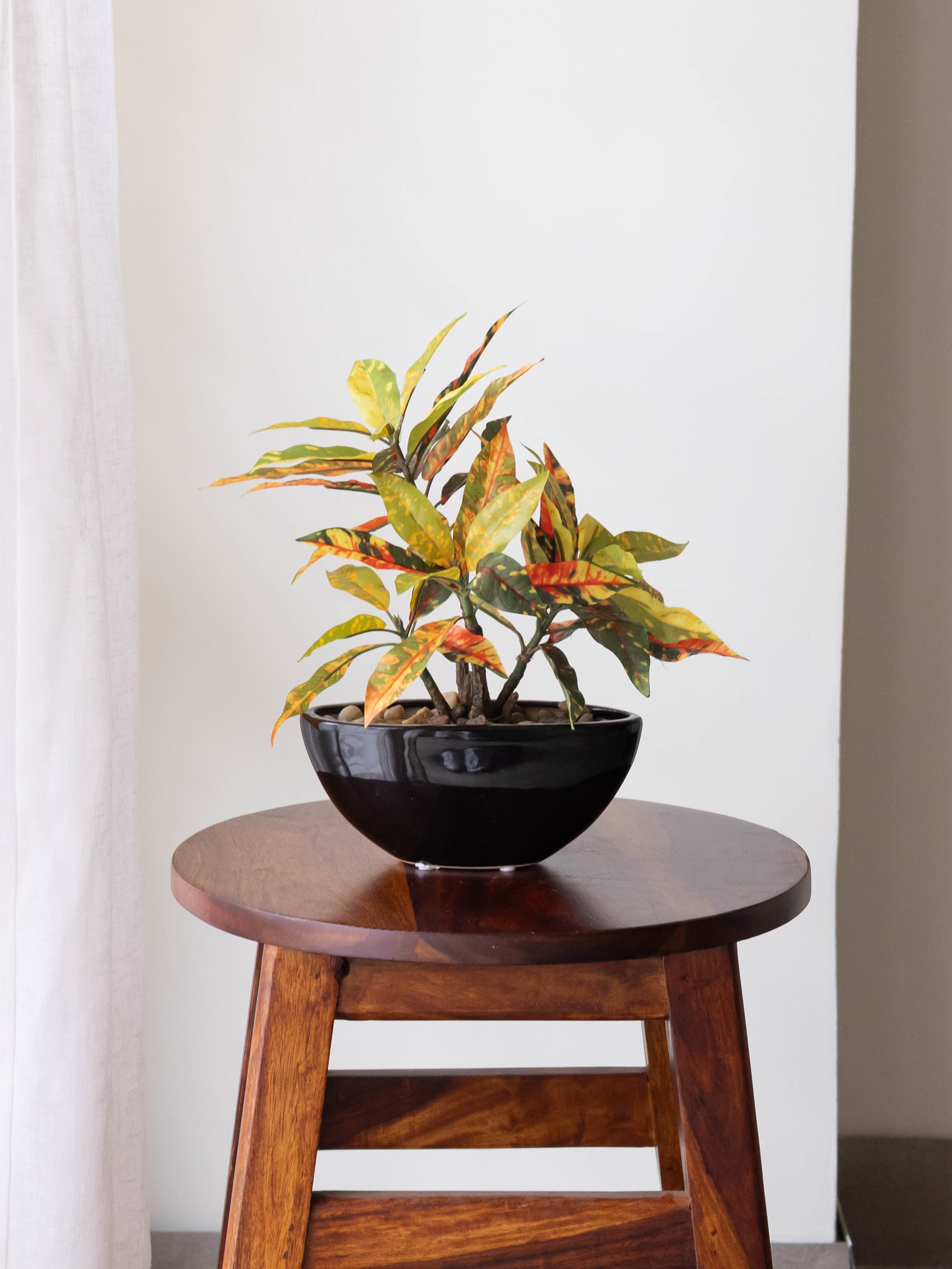 Artificial Croton Bonsai 1ft