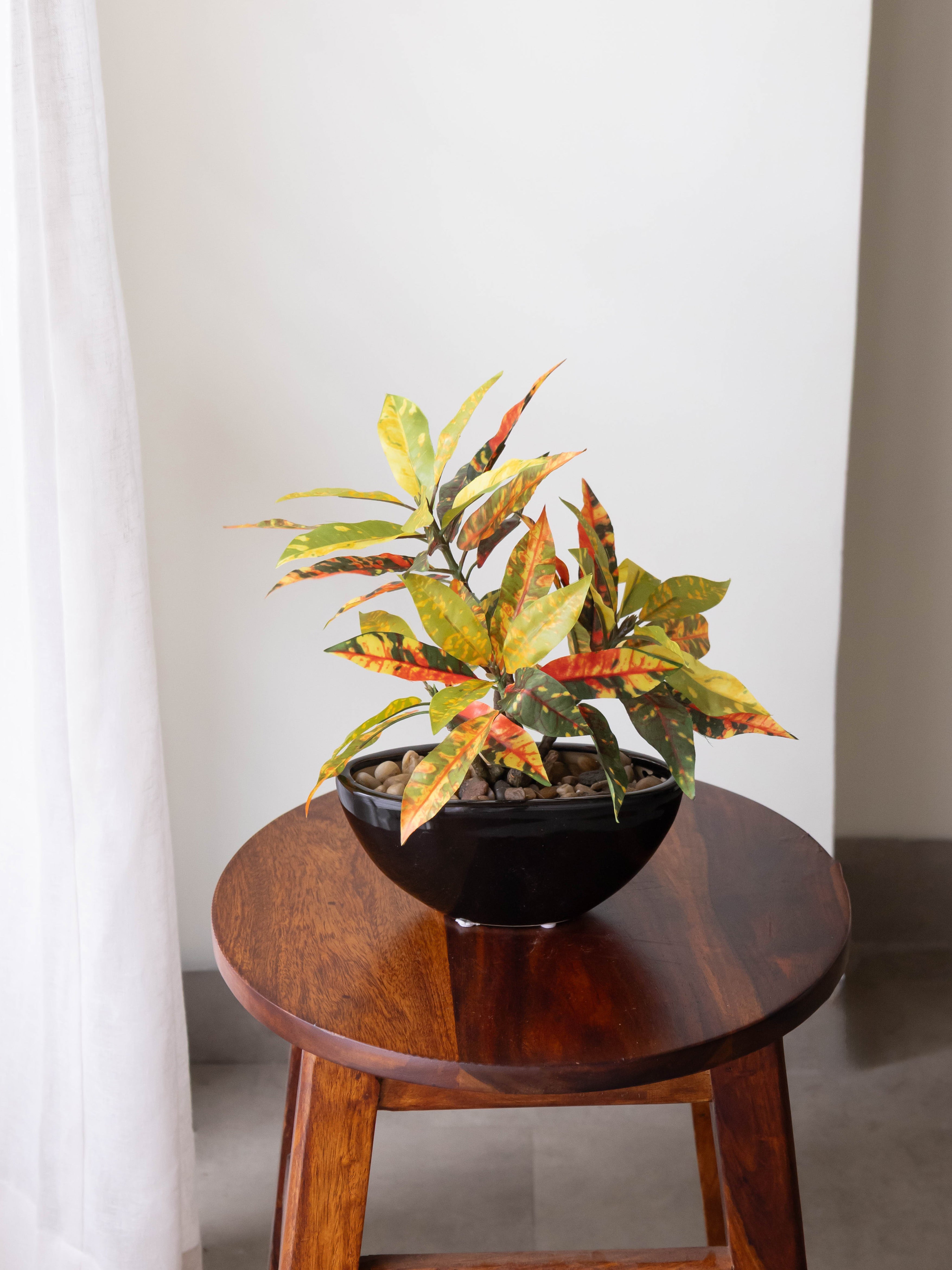Artificial Croton Bonsai 1ft