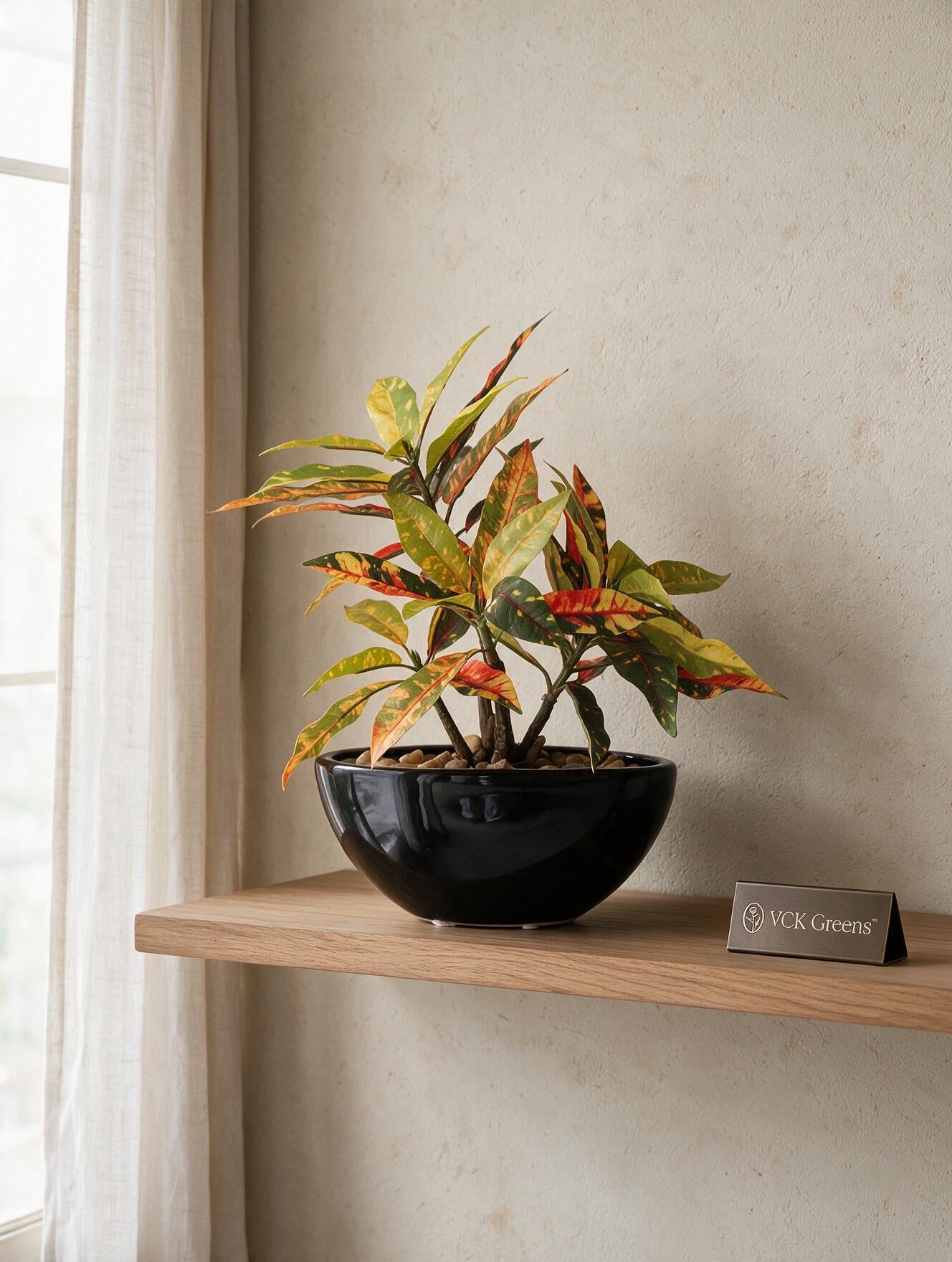 Artificial Croton Bonsai 1ft