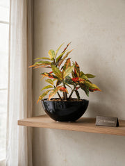 Artificial Croton Bonsai 1ft