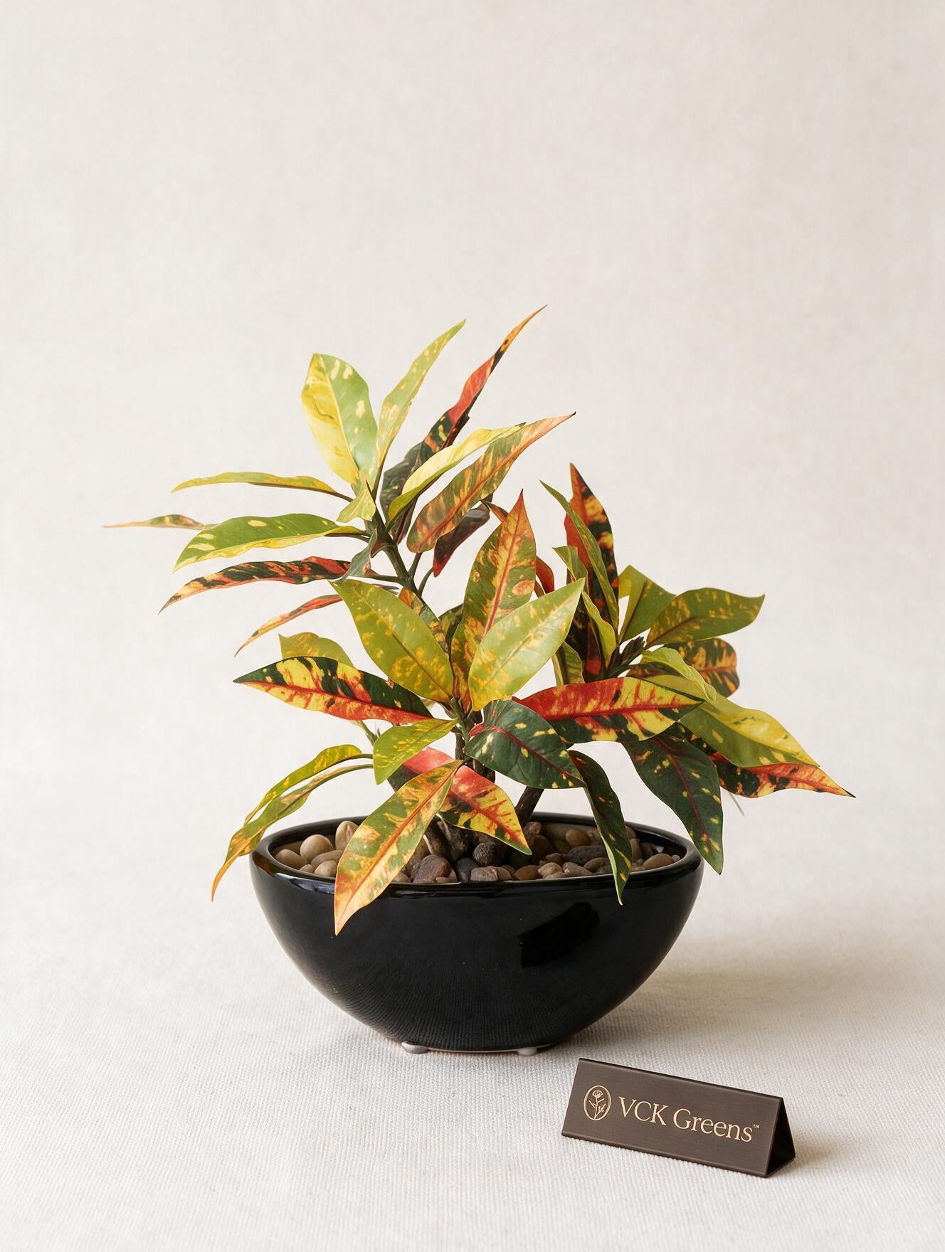 Artificial Croton Bonsai 1ft