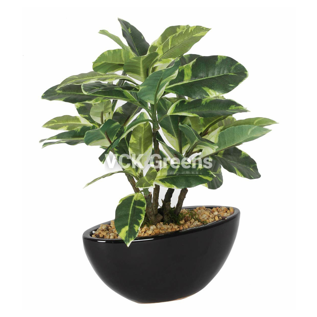 Artificial Bonsai Plants with Ceramic Vase (1 Feet)