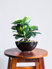 Artificial Green Bonsai 1ft