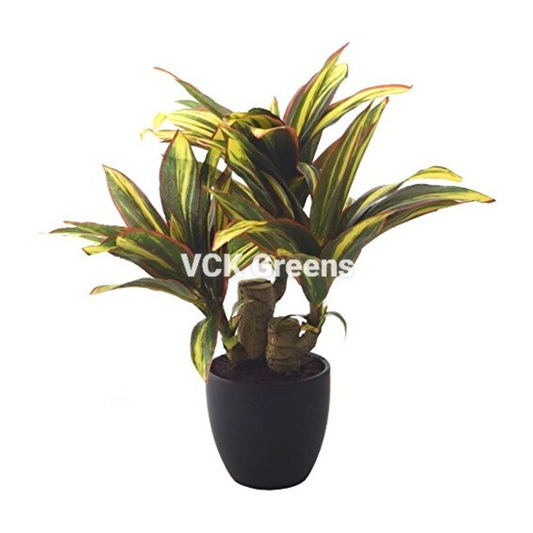 Artificial Dracaena Plant Bonsai 1.2 Feet