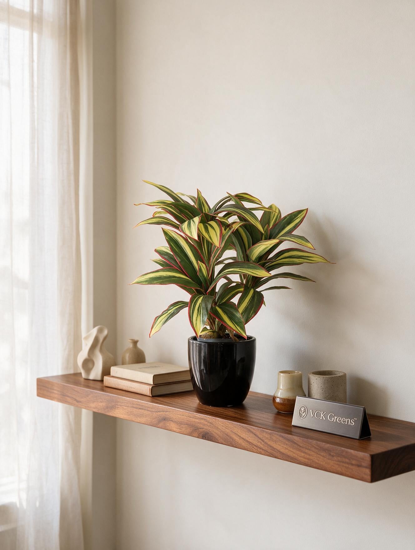 Artificial Dracaena Plant Bonsai 1.2ft