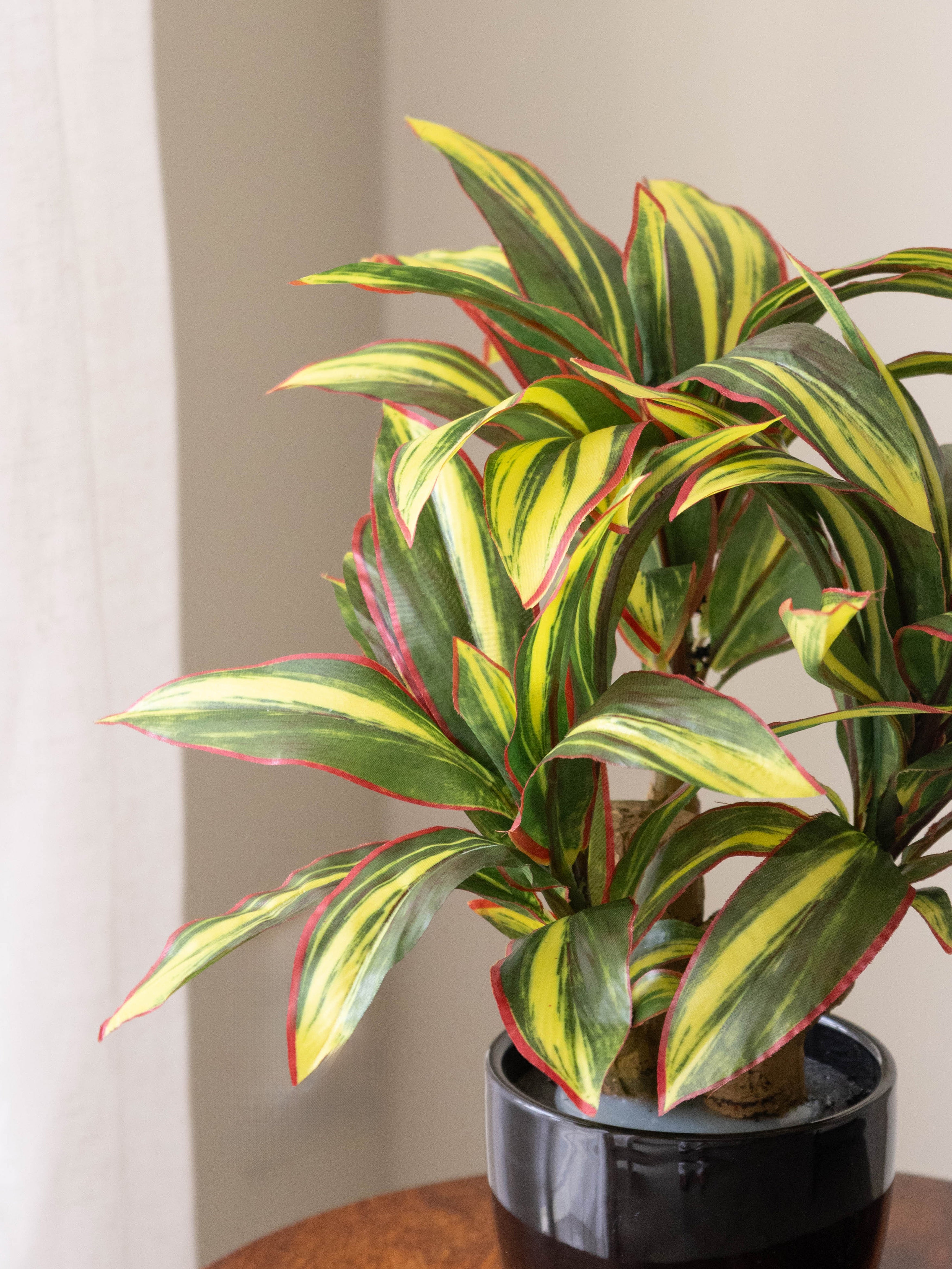 Artificial Dracaena Plant Bonsai 1.2ft