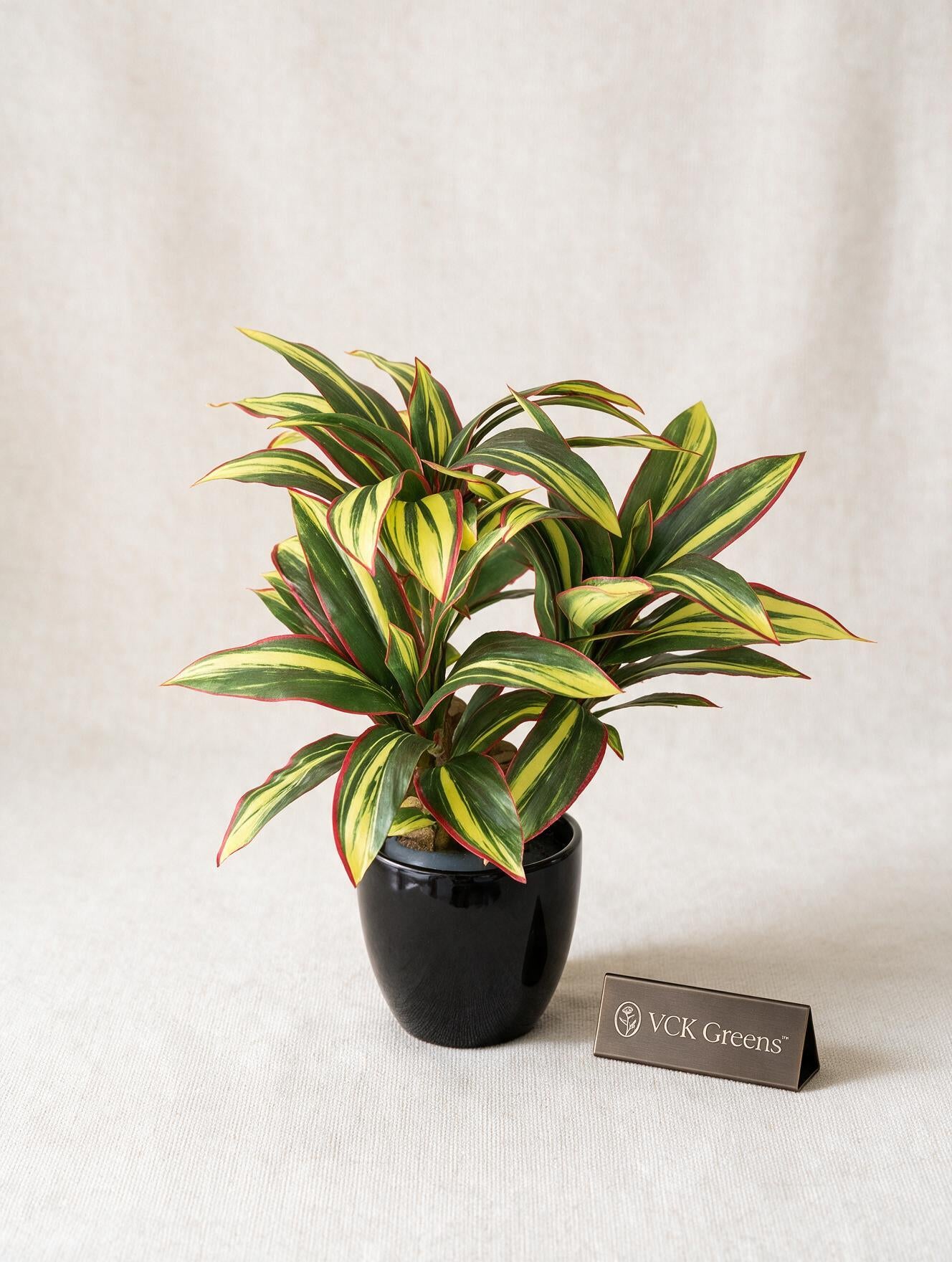 Artificial Dracaena Plant Bonsai 1.2ft