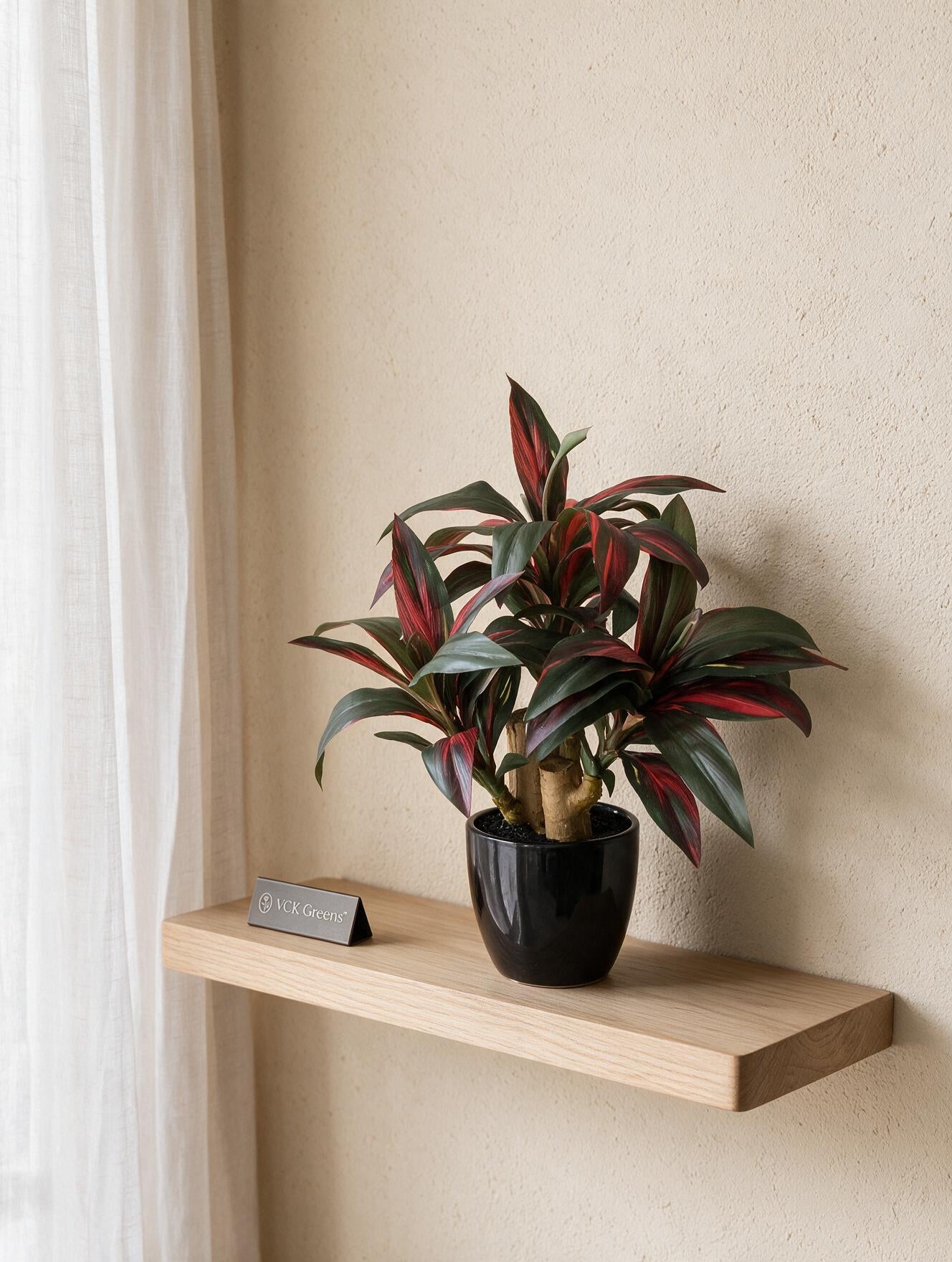 Artificial Crimson Dracaena Bonsai 1.2ft