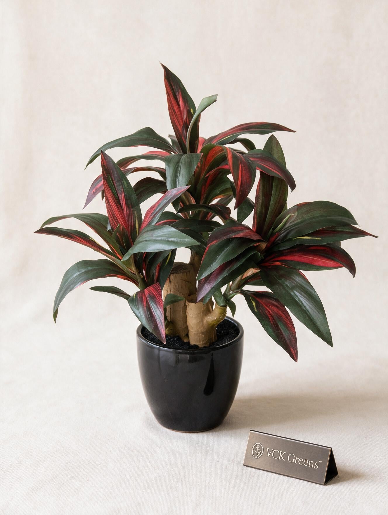 Artificial Crimson Dracaena Bonsai 1.2ft