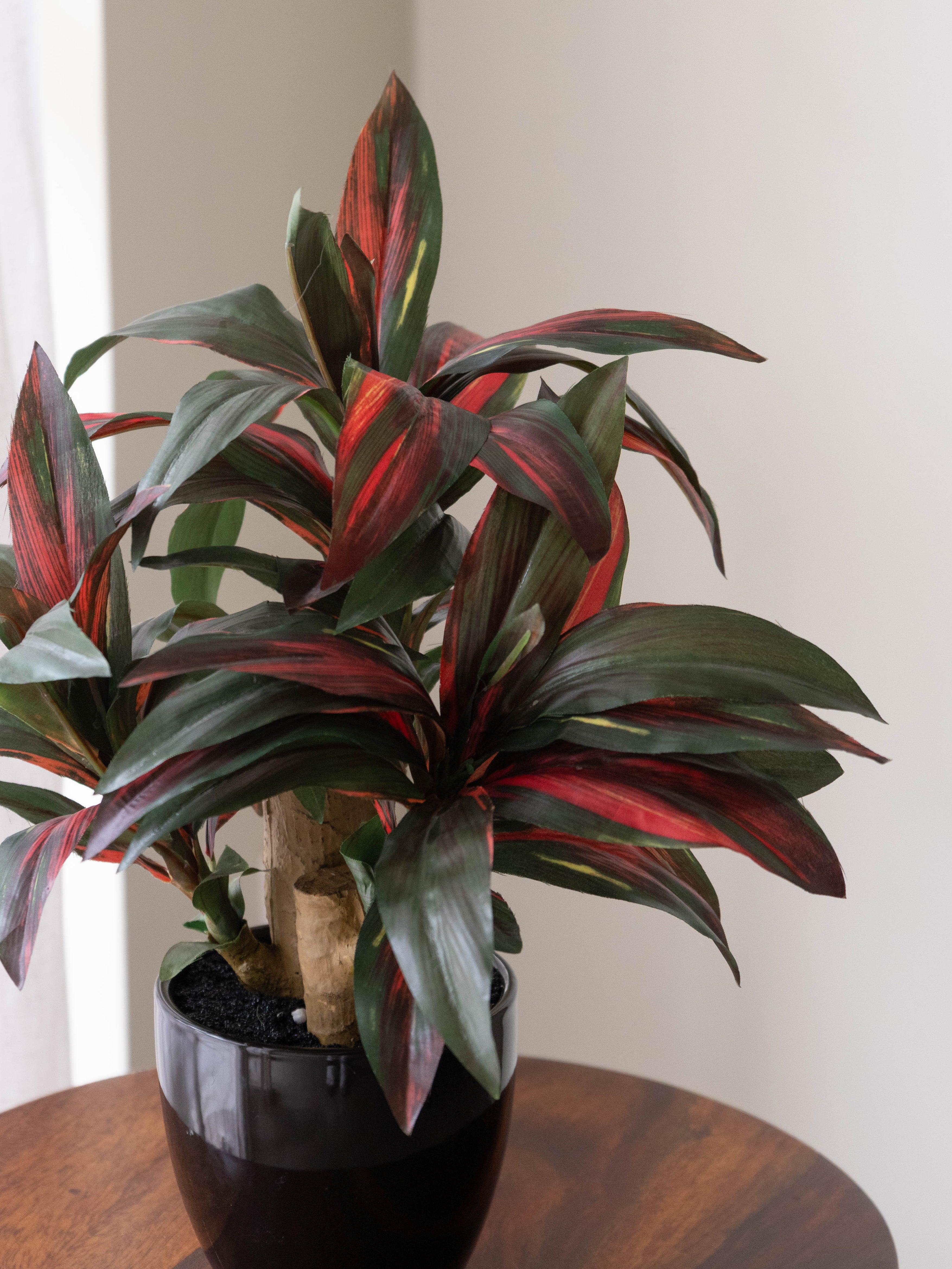 Artificial Crimson Dracaena Bonsai 1.2ft