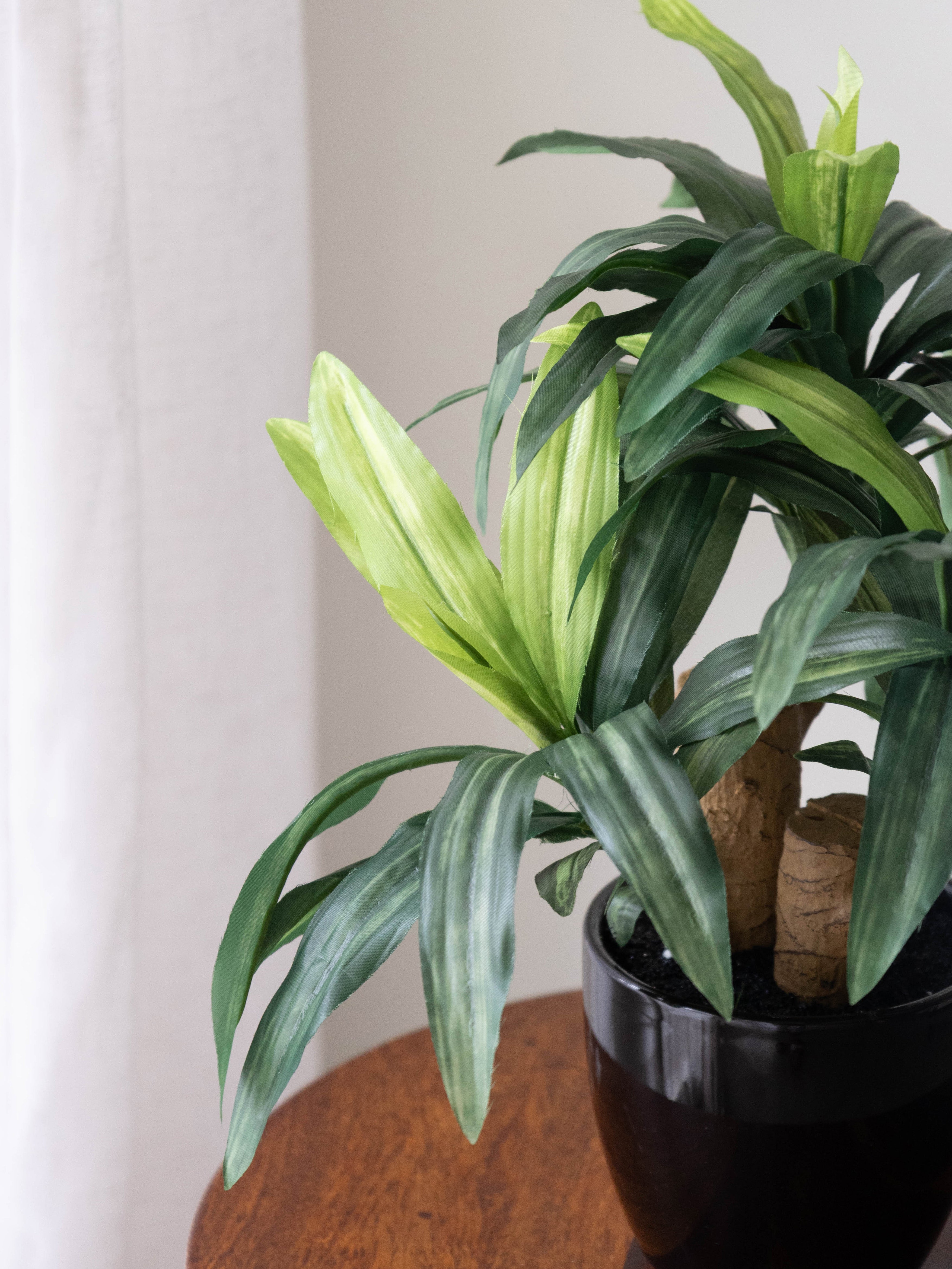 Artificial Green Dracaena Plant Bonsai 1.2ft