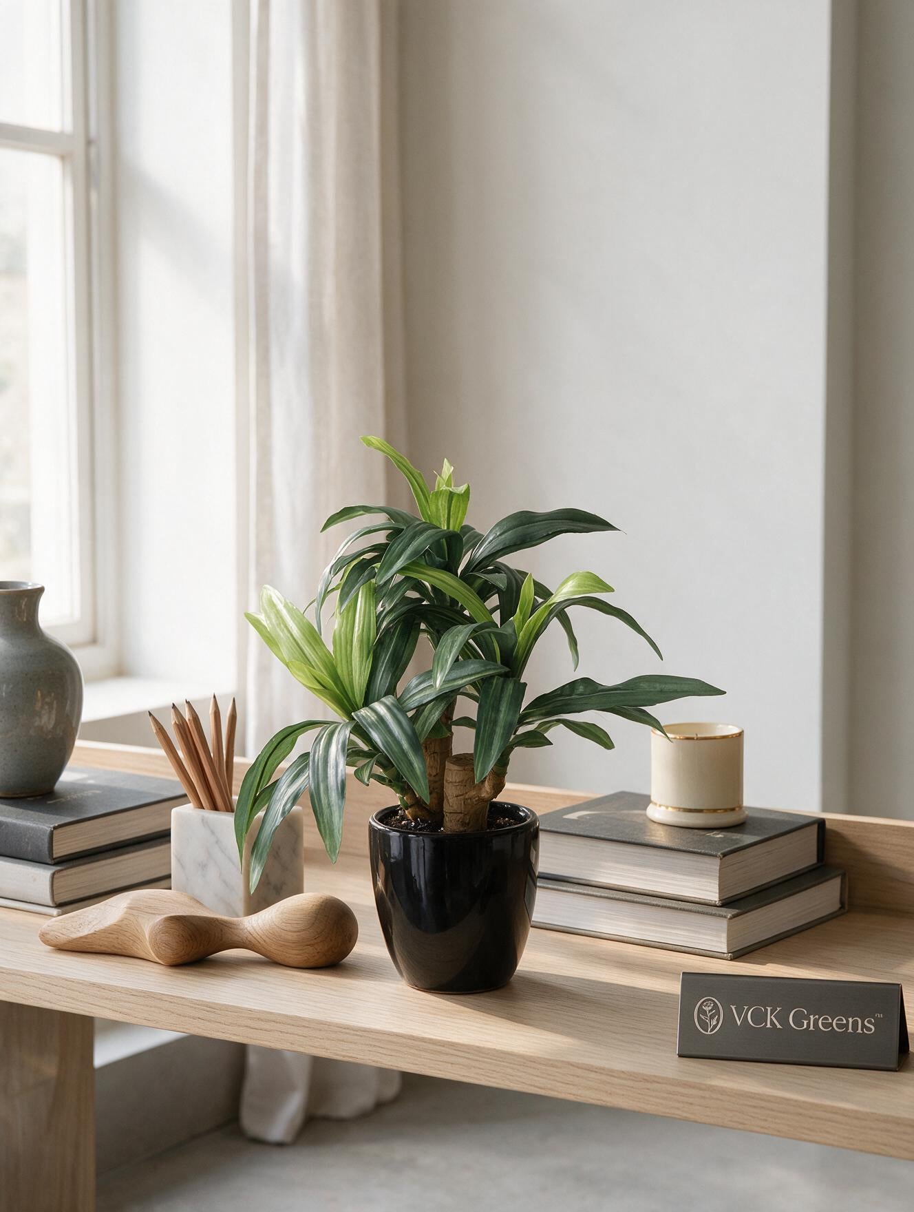 Artificial Green Dracaena Plant Bonsai 1.2ft