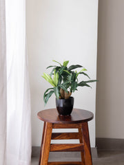 Artificial Green Dracaena Plant Bonsai 1.2ft