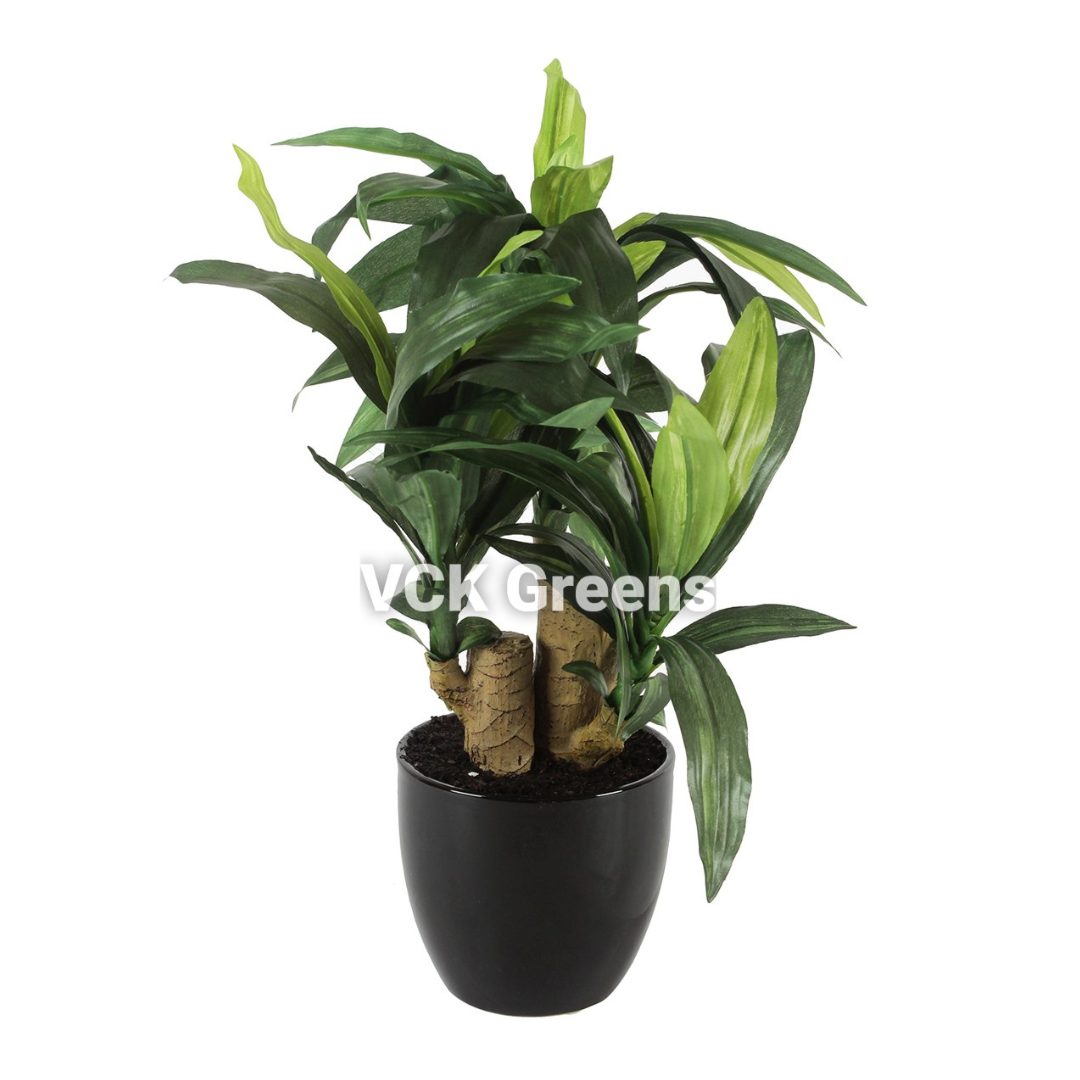 Artificial Dracaena Plant Bonsai 1.2 Feet