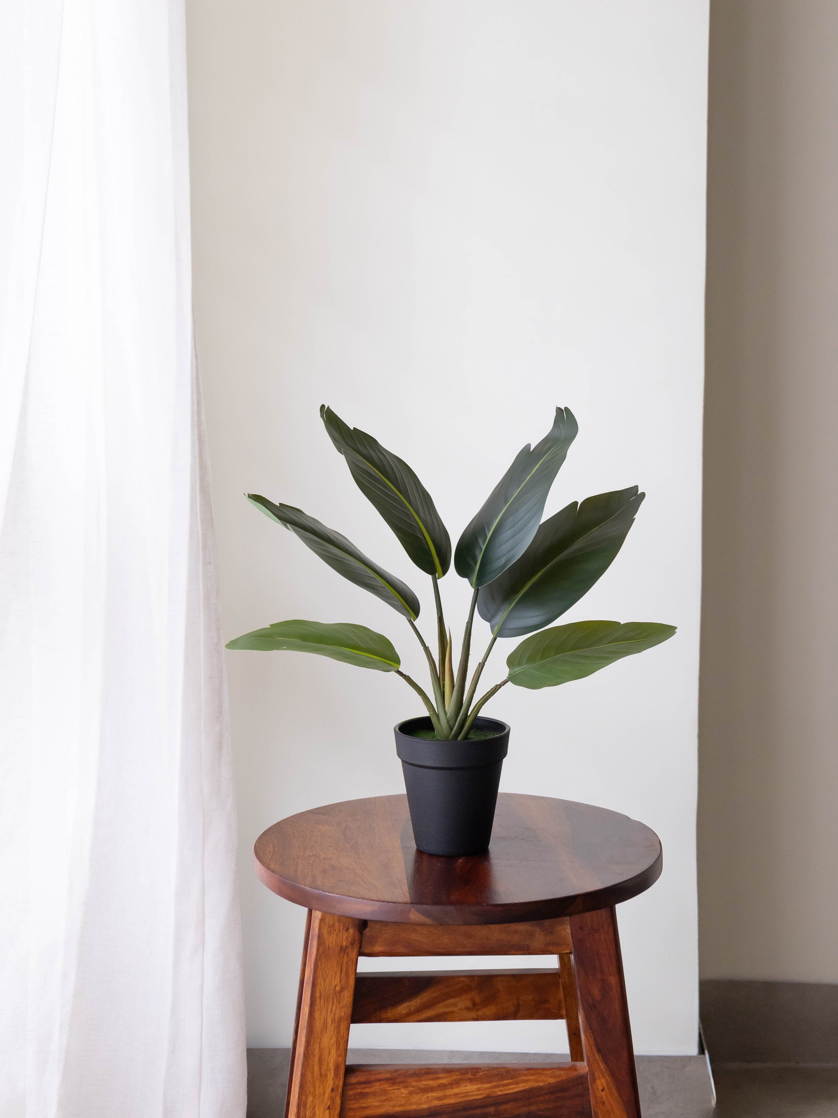 Artificial Traveller's Banana Leaf Bonsai 1.2ft