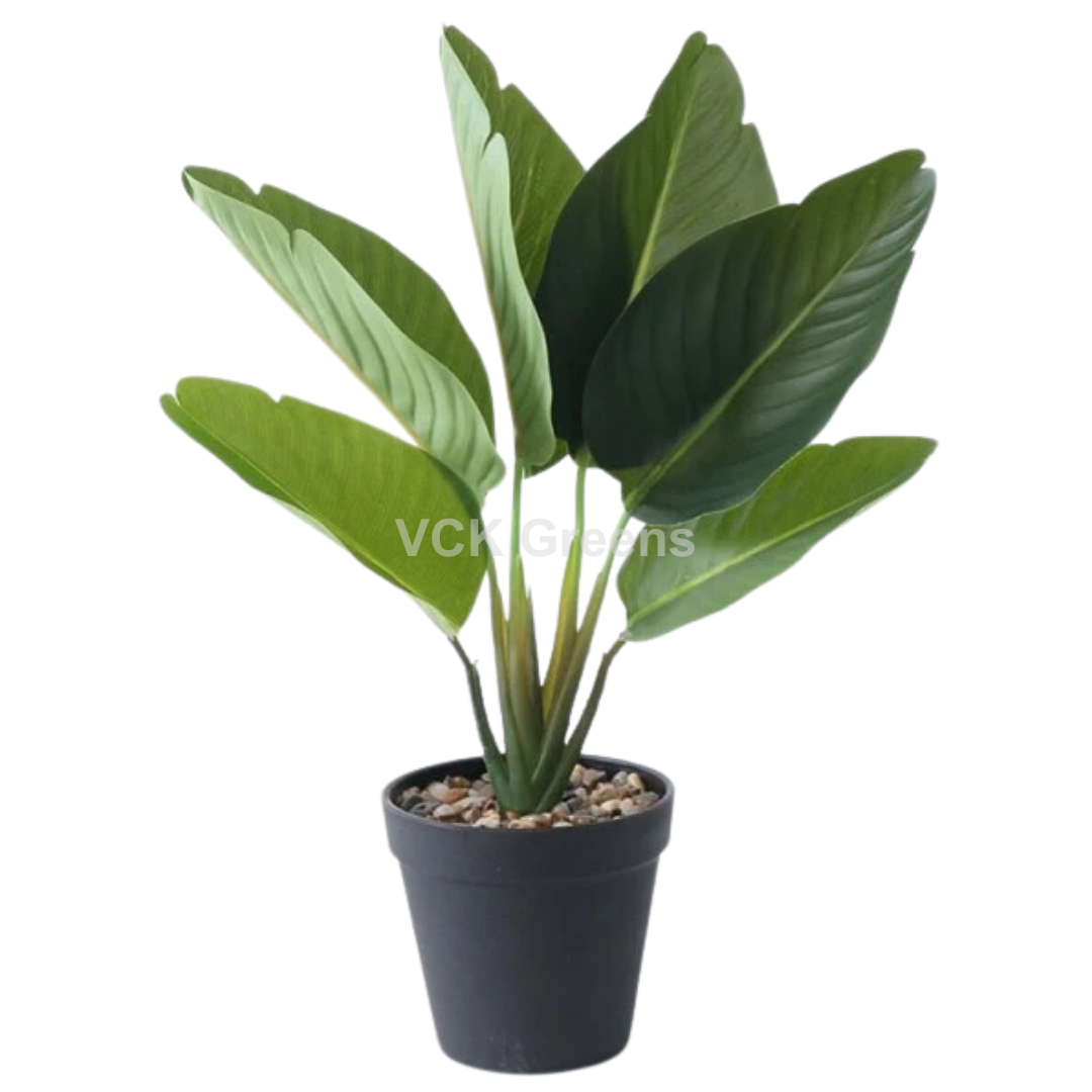 Artificial Traveller's Banana Leaf Bonsai 1.2ft