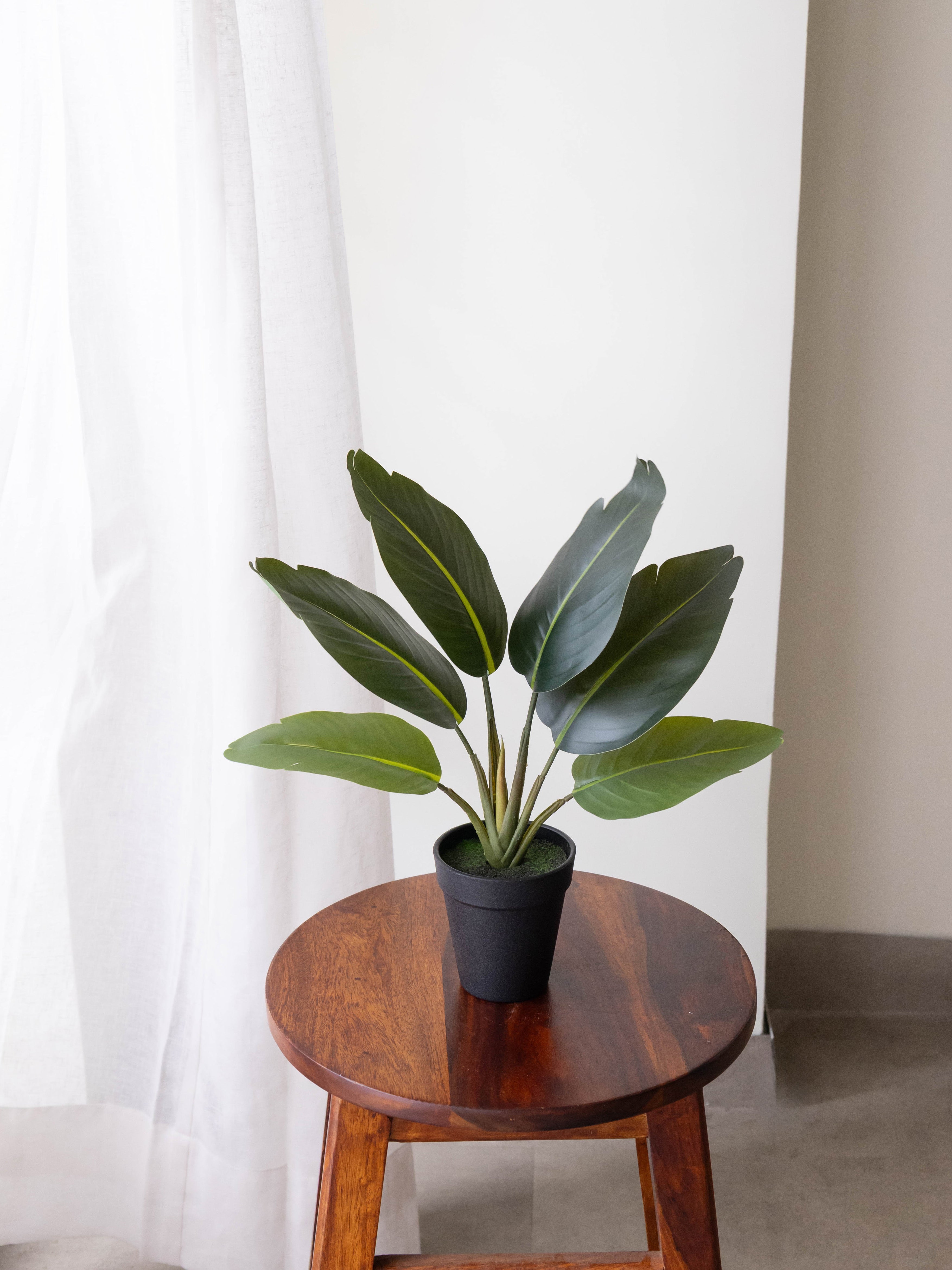 Artificial Traveller's Banana Leaf Bonsai 1.2ft