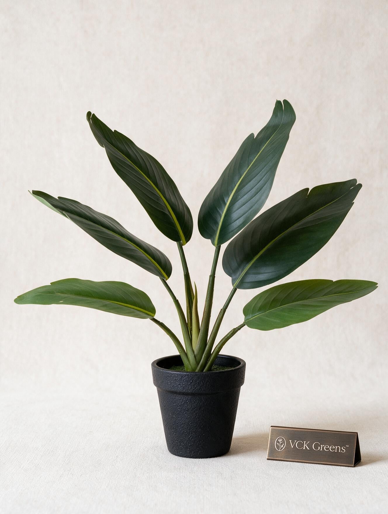 Artificial Traveller's Banana Leaf Bonsai 1.2ft