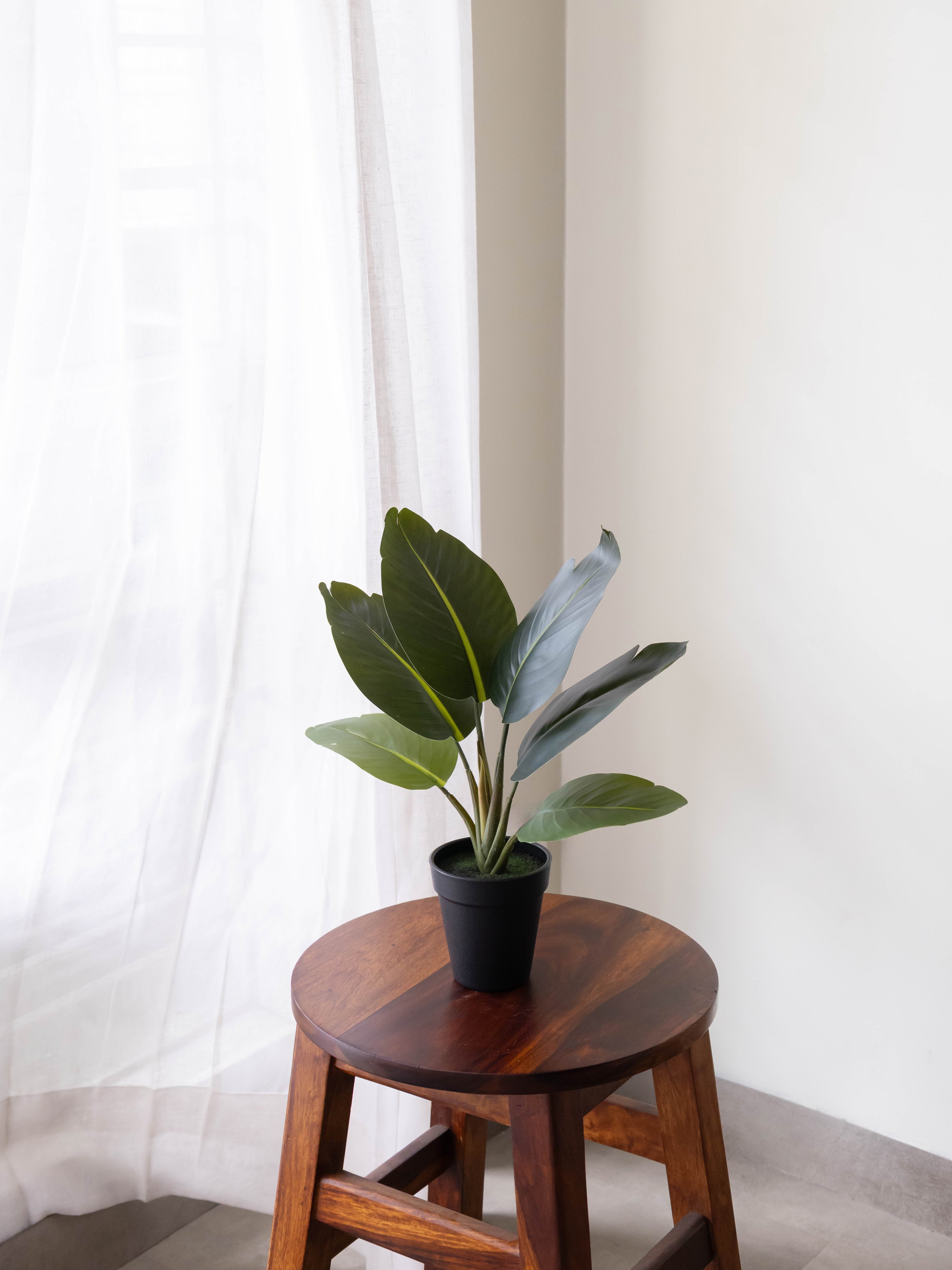 Artificial Traveller's Banana Leaf Bonsai 1.2ft