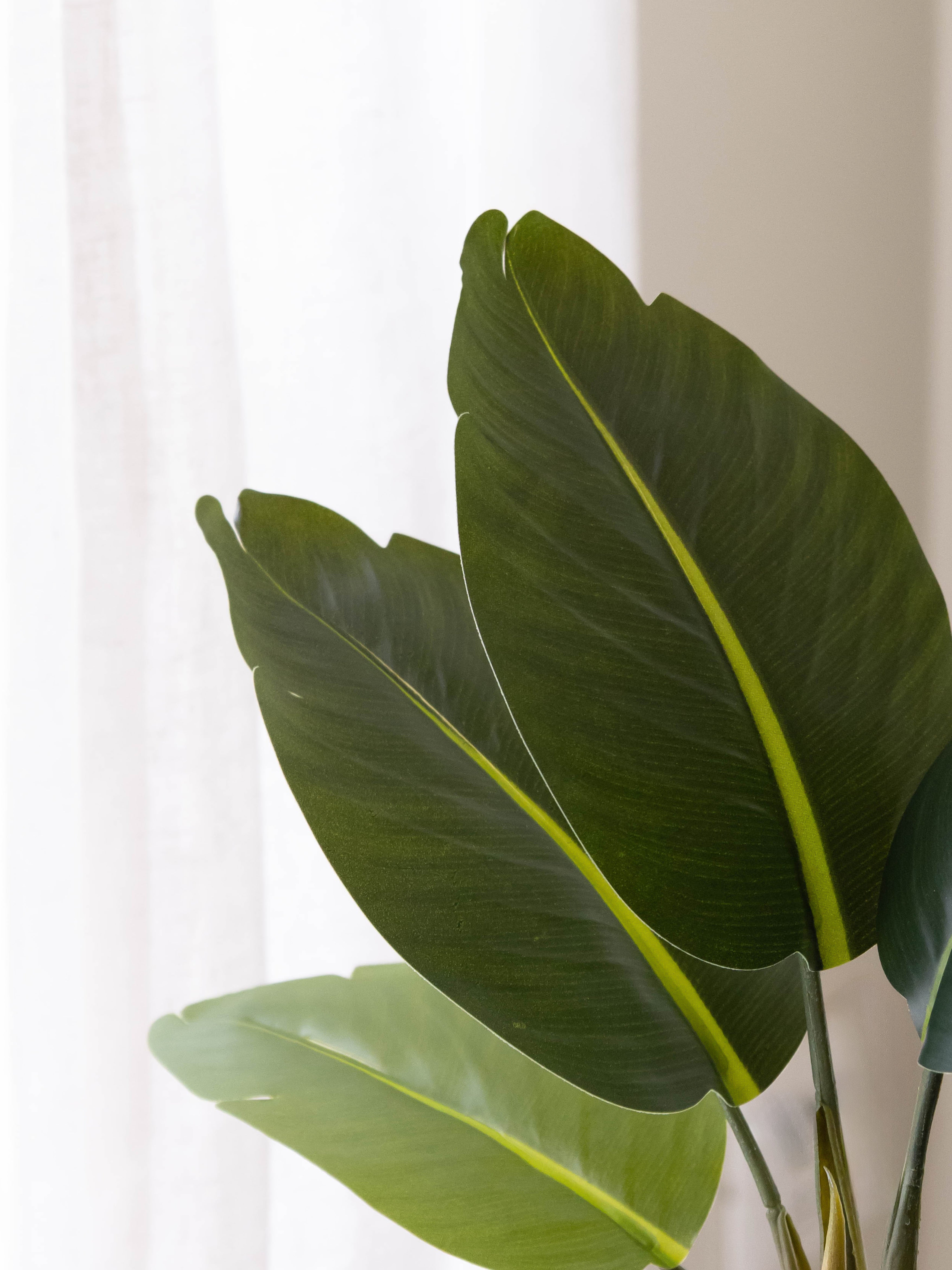 Artificial Traveller's Banana Leaf Bonsai 1.2ft