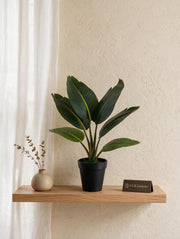 Artificial Traveller's Banana Leaf Bonsai 1.2ft
