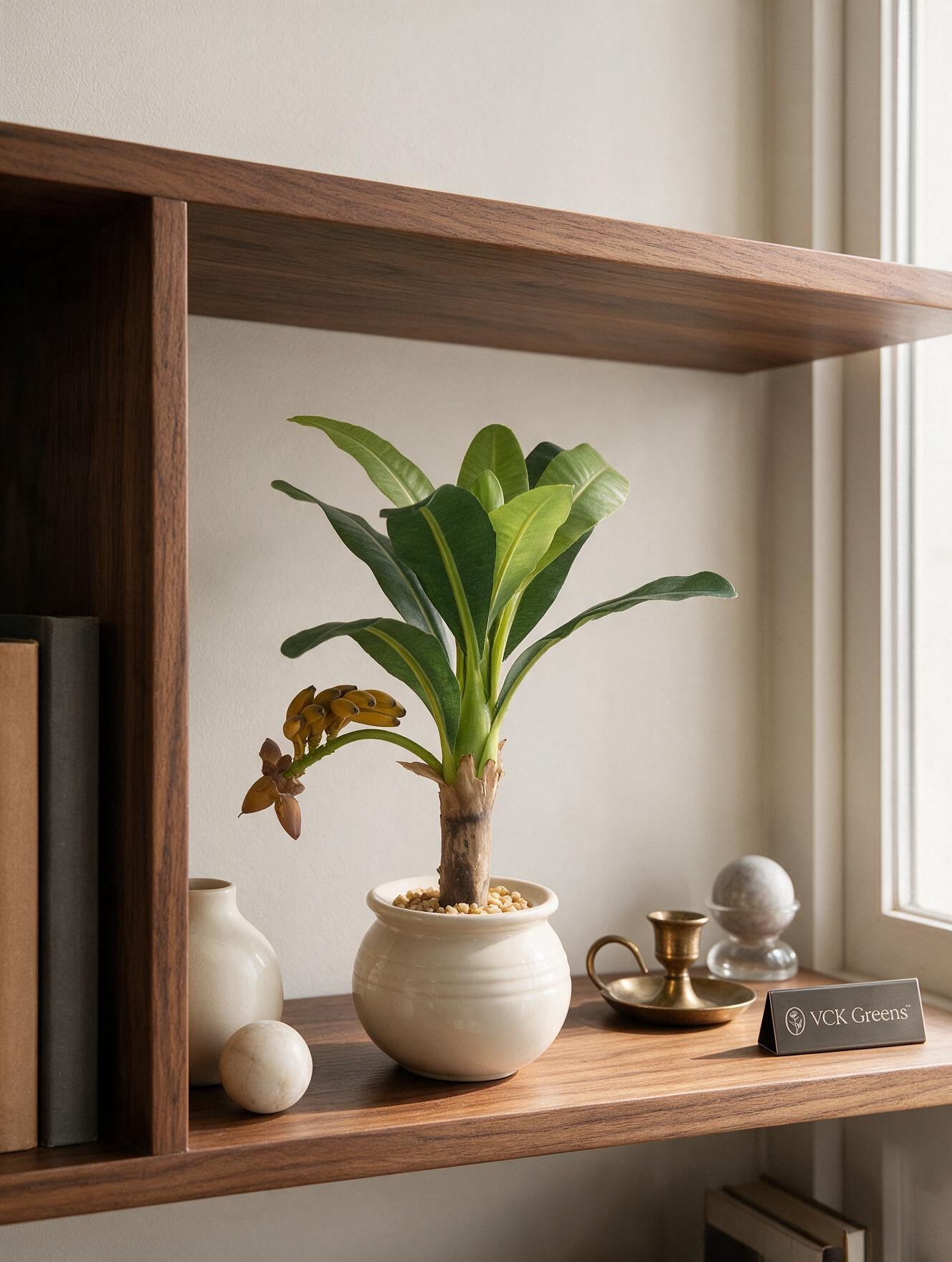 Artificial Banana Plant Bonsai 1ft