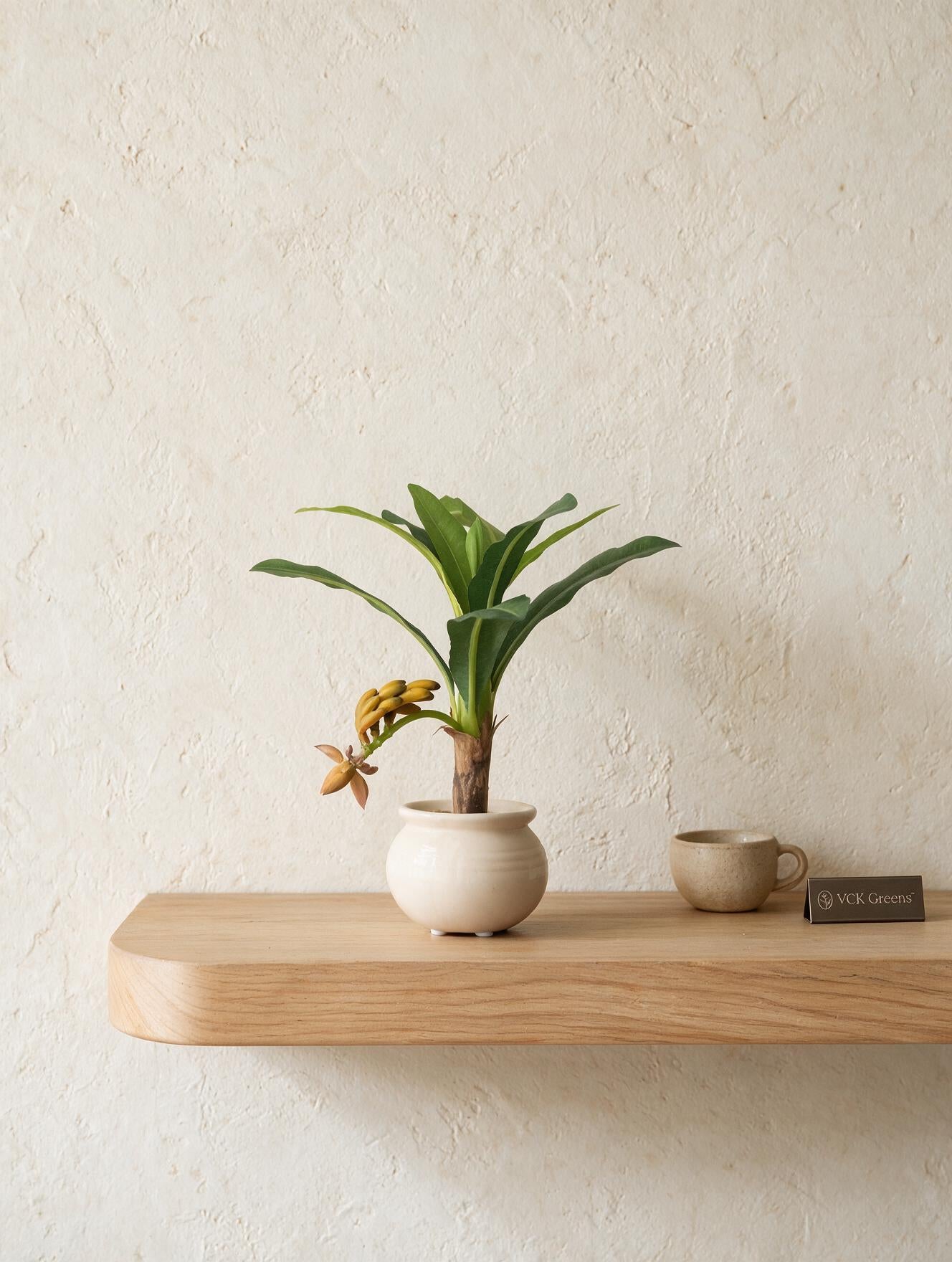 Artificial Banana Plant Bonsai 1ft