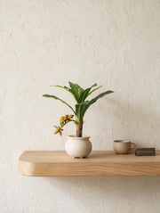 Artificial Banana Plant Bonsai 1ft